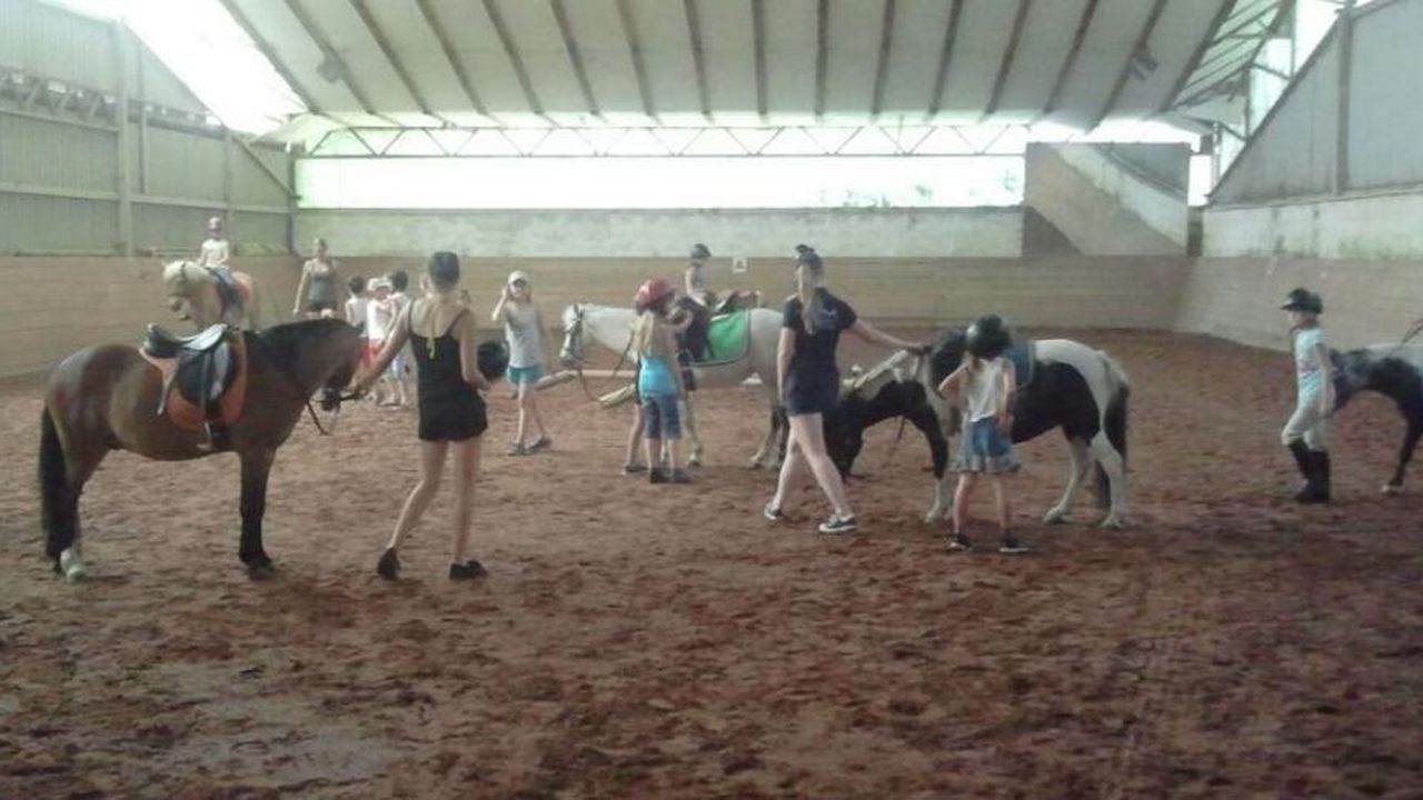 Reiten in der Halle Reiten in der Halle